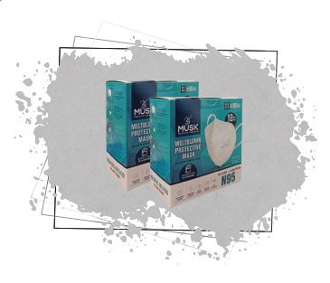 10-pack N95 Masks