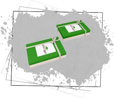 Madlen Boxes