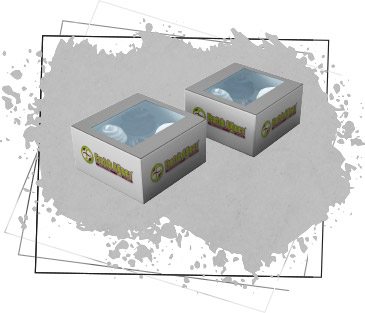 Pie box